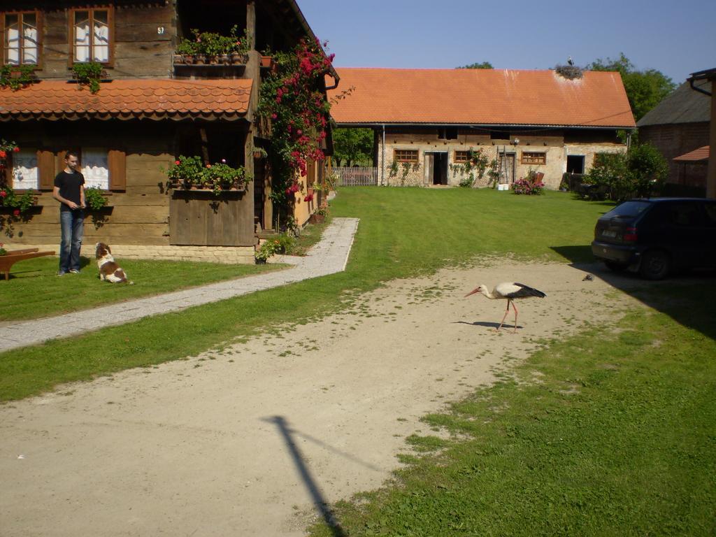 Apartments Iza Na Trem Čigoč 外观 照片