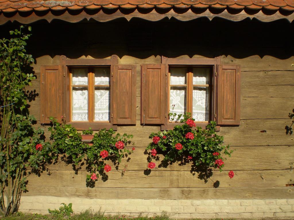 Apartments Iza Na Trem Čigoč 外观 照片