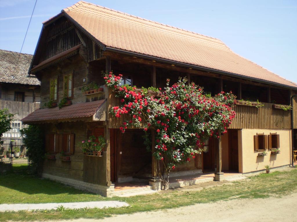Apartments Iza Na Trem Čigoč 外观 照片